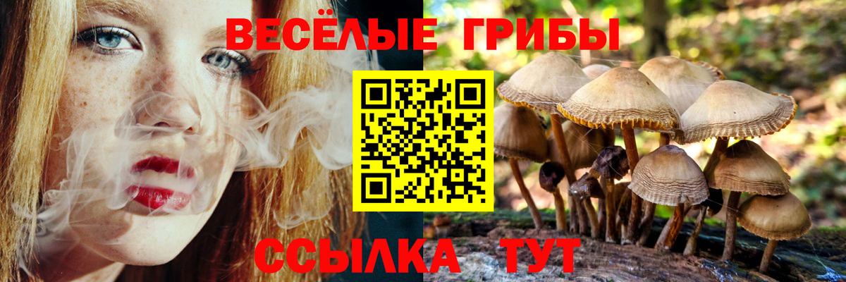 Псилоцибиновые грибы MAGIC MUSHROOMS  Вход с VPN  Альметьевск 